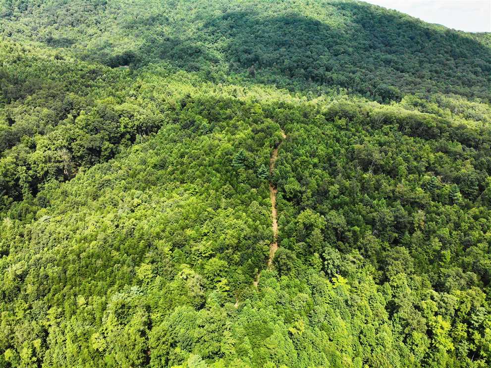 104.24 Acres of Land for sale in surry County, North Carolina