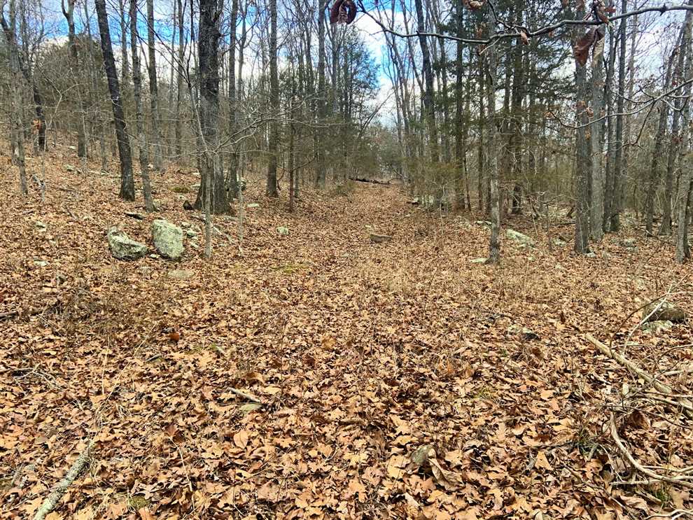 17 Acres of Land for sale in washington County, Arkansas