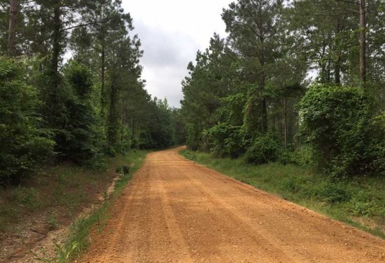 59.94 Acres of Land for Sale in union County Louisiana
