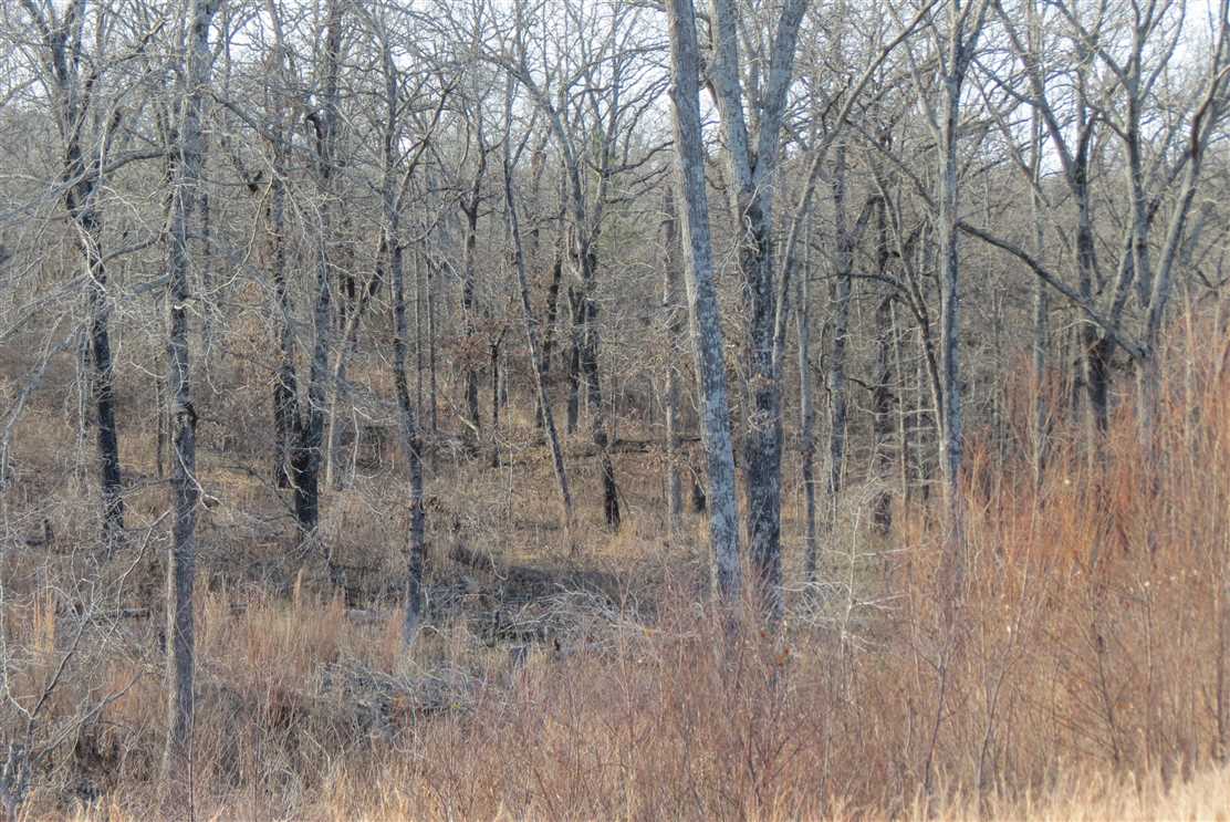 Bachelor Farm Road Recreational Tract Crystal Atoka County, OK 30 AC Real estate listing