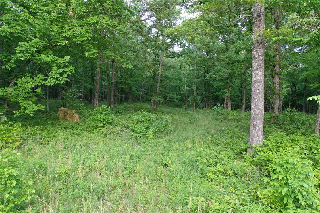 5.01 Acres of Land for sale in humphreys County, Tennessee