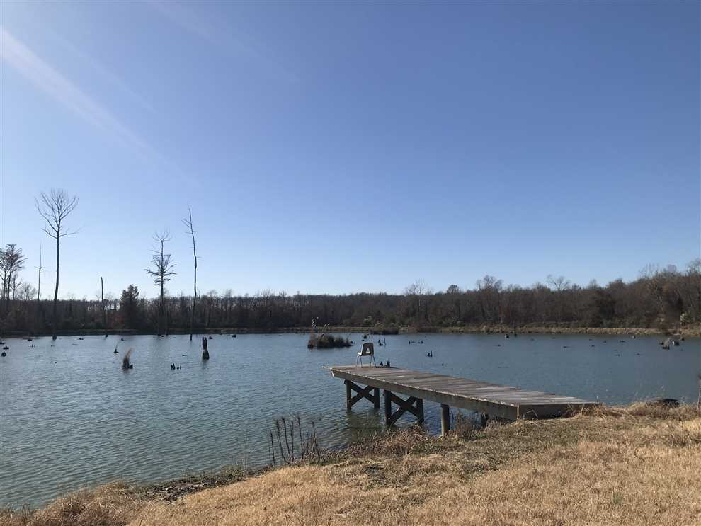 98 Acres of Recreational land for sale in Tuscaloosa, tuscaloosa County, Alabama