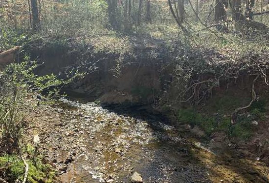 13.87 Acres of Land for Sale in davie County North Carolina