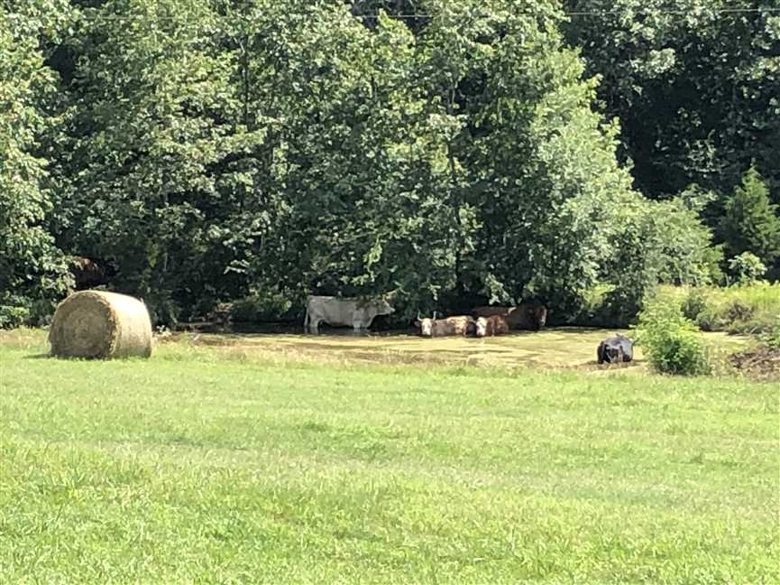 Farmland real estate available to buy