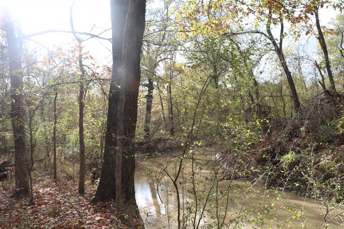 White Oak Ranch Real estate listing