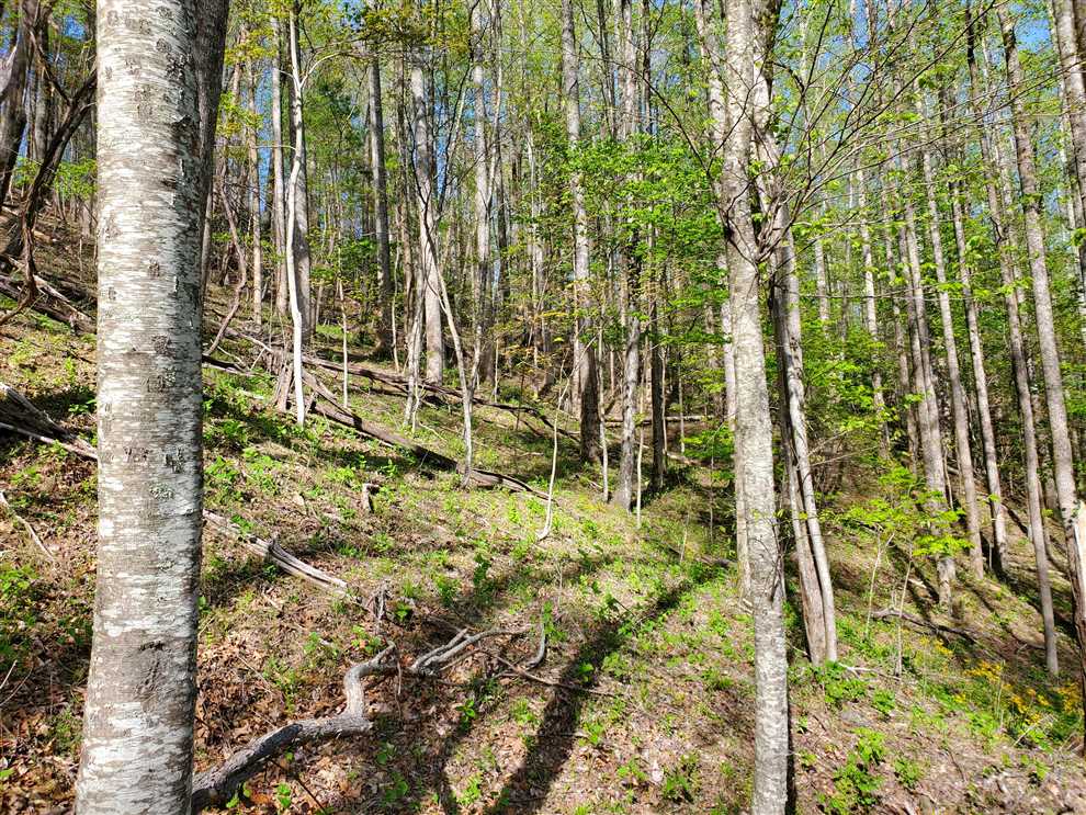 property for sale on The Land Market