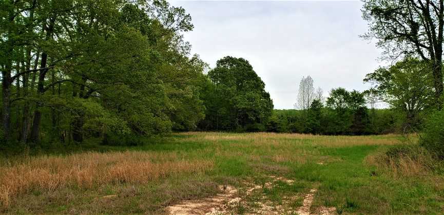 Houses and land for sale in Tennessee