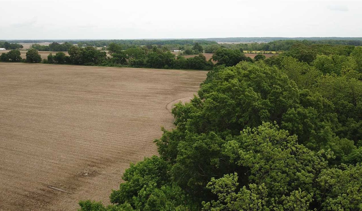 Colt land available for purchase