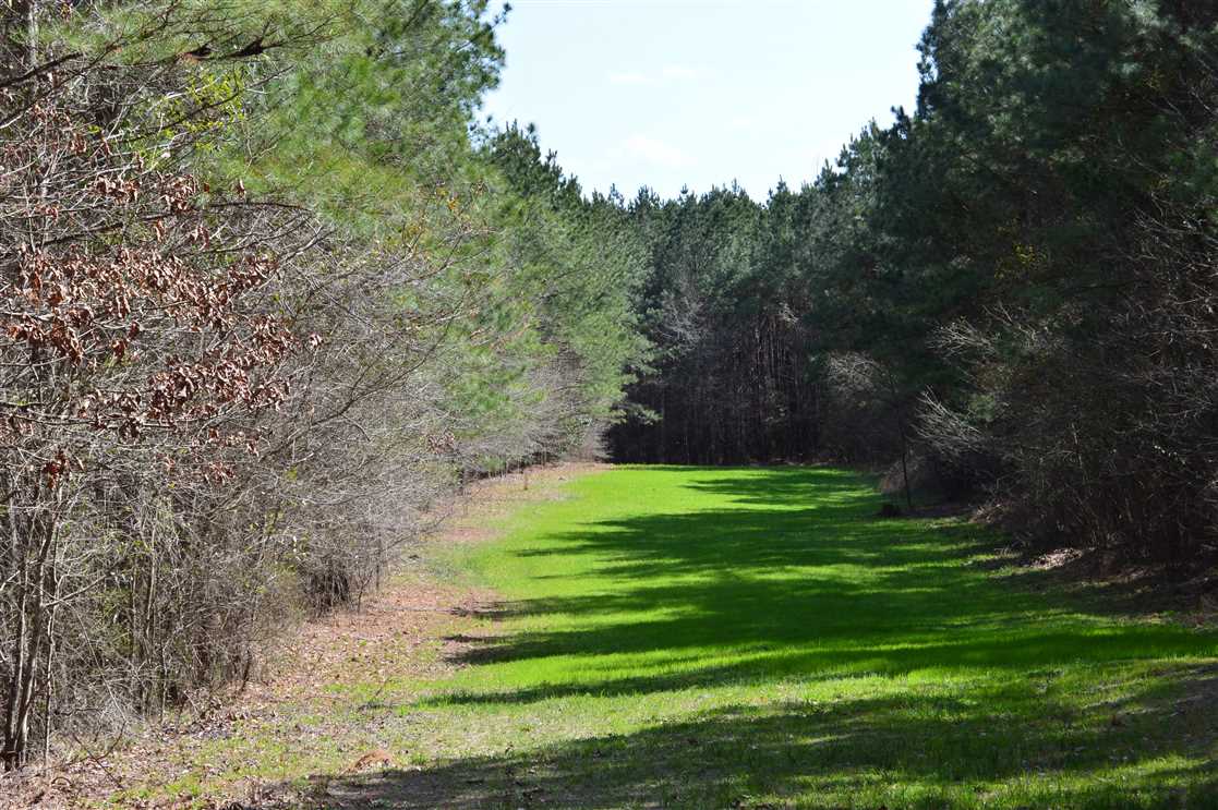 Recreational and   property for sale on The Land Market