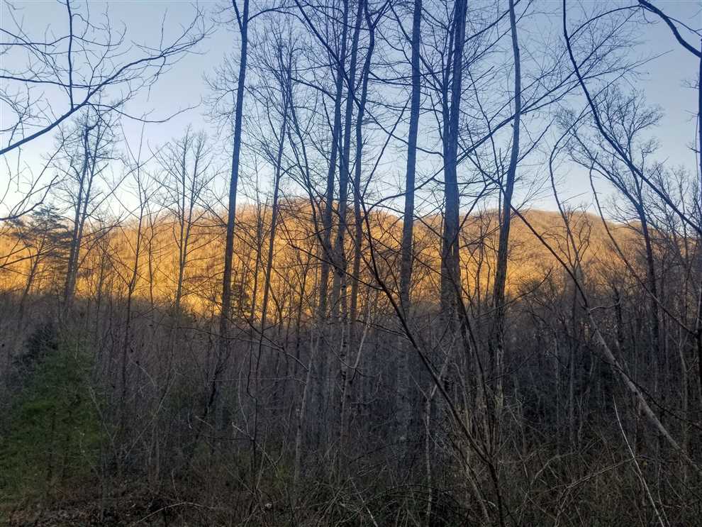 Land for sale to buy in 28789 zip code