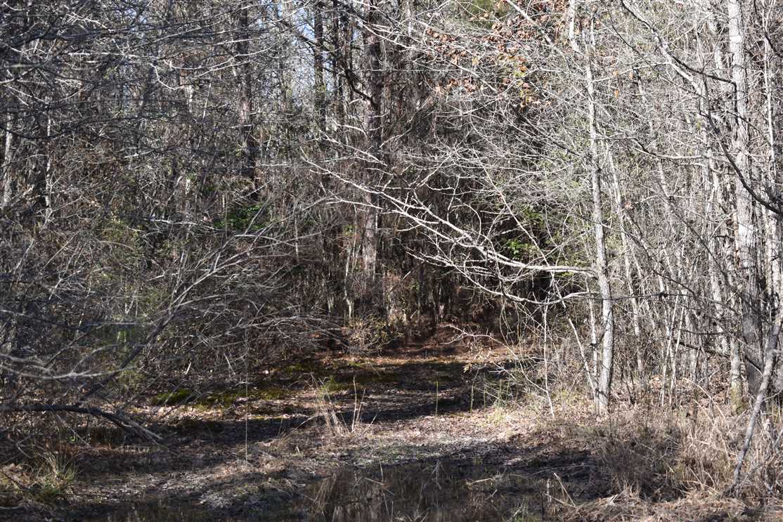 Property for sale at