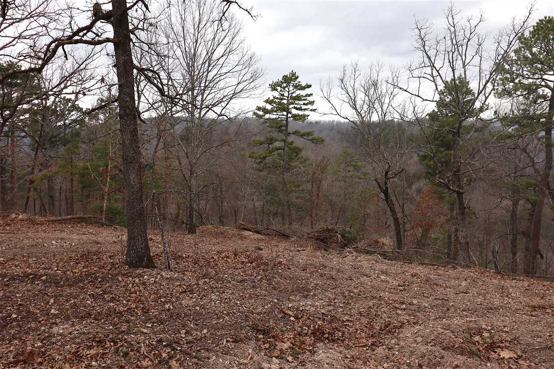 78 Acres of Land for Sale in carroll County Arkansas
