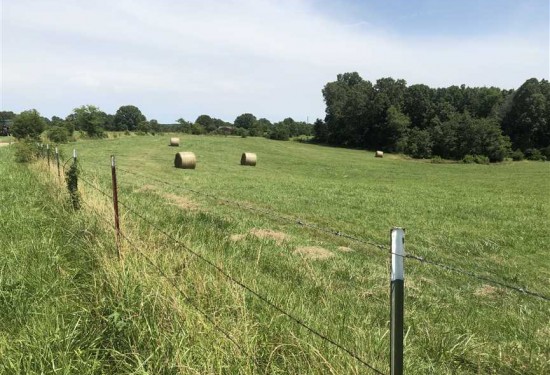 952.11 Acres of Land for Sale in randolph County Arkansas