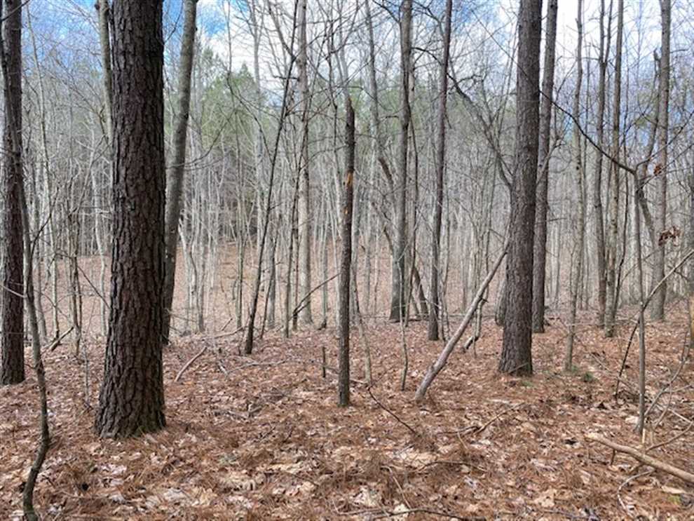 5.00+/-acres wooded lot with nice home site. Real estate listing