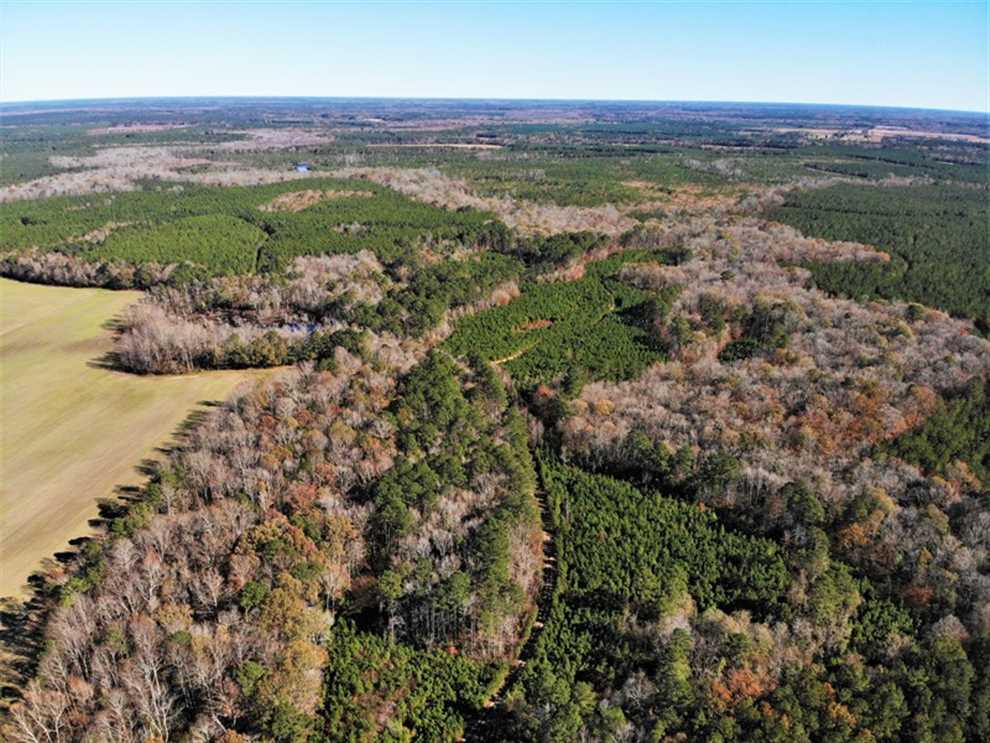 Property for sale at Off Champion Rd
