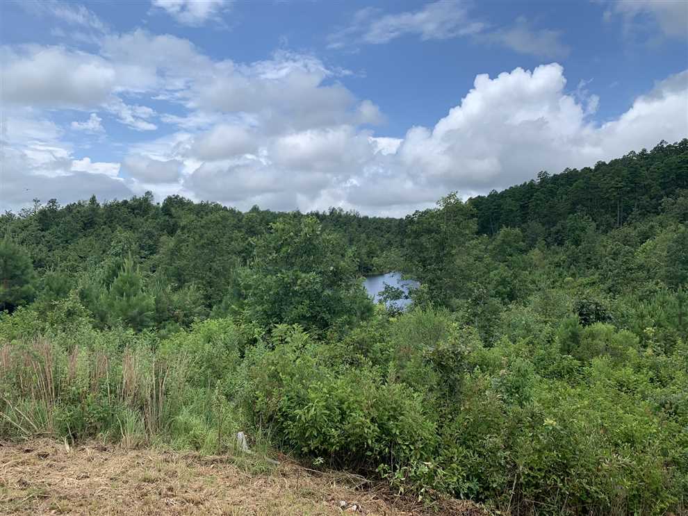 1148 Acres of Recreational land for sale in Hot Springs, hot spring County, Arkansas