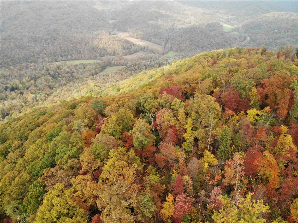 15.85+/- Acres in Black Mountain, Buncombe County Real estate listing