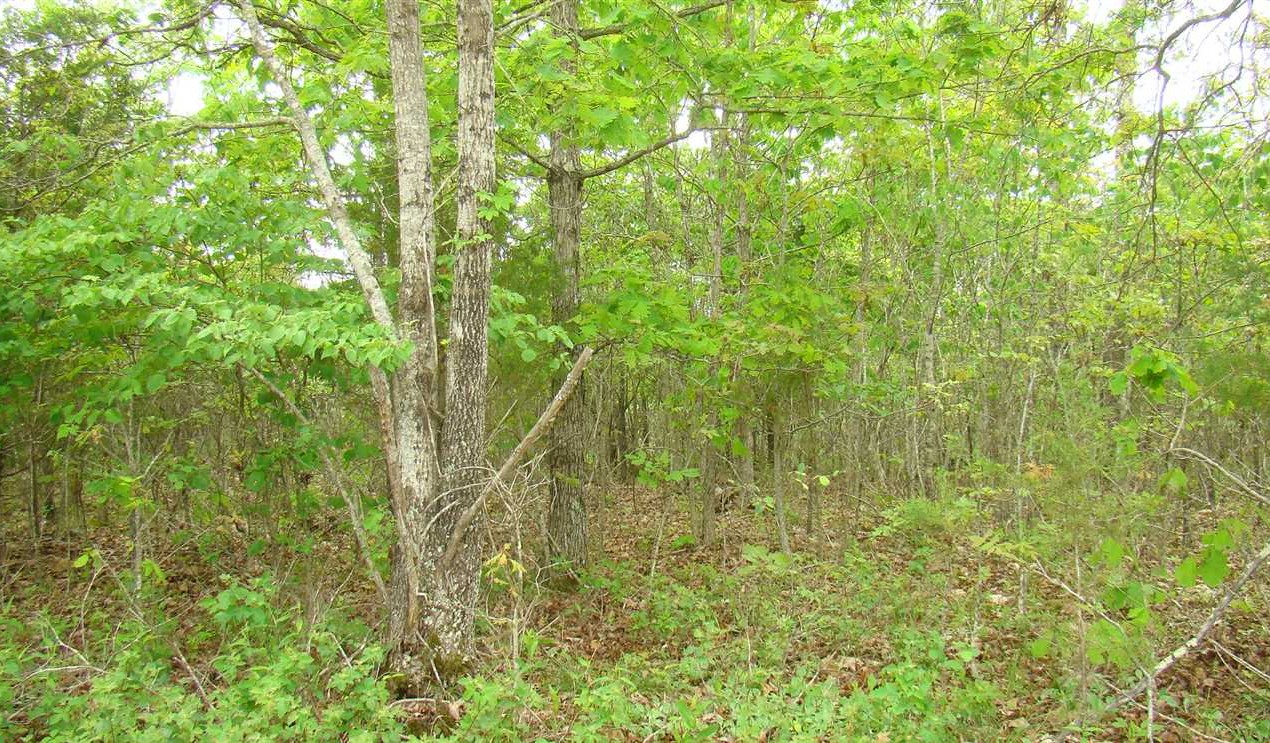 120 Acres, 1/2 to Jacks Fork River, Hunting, Joins USA Forest, County Road Frontage, Mountain View MO, Shannon County Call Linda 417-274-0142 Real estate listing