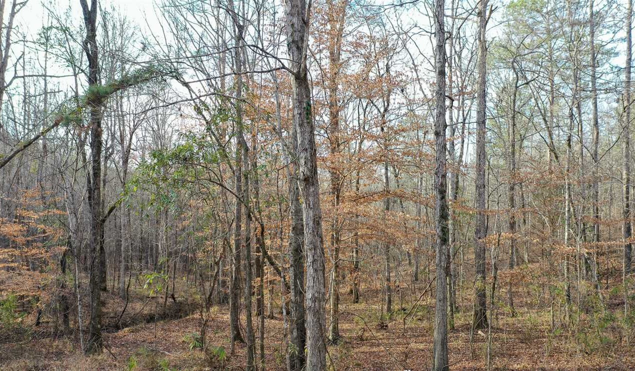 584 Acres of Recreational land for sale in Wetumpka, elmore County, Alabama