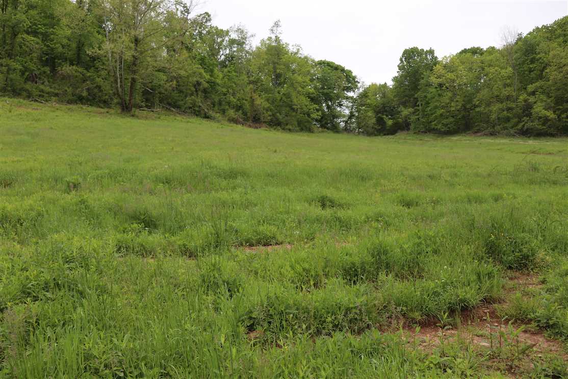 250.59 Acres of Land for sale in monroe County, Kentucky