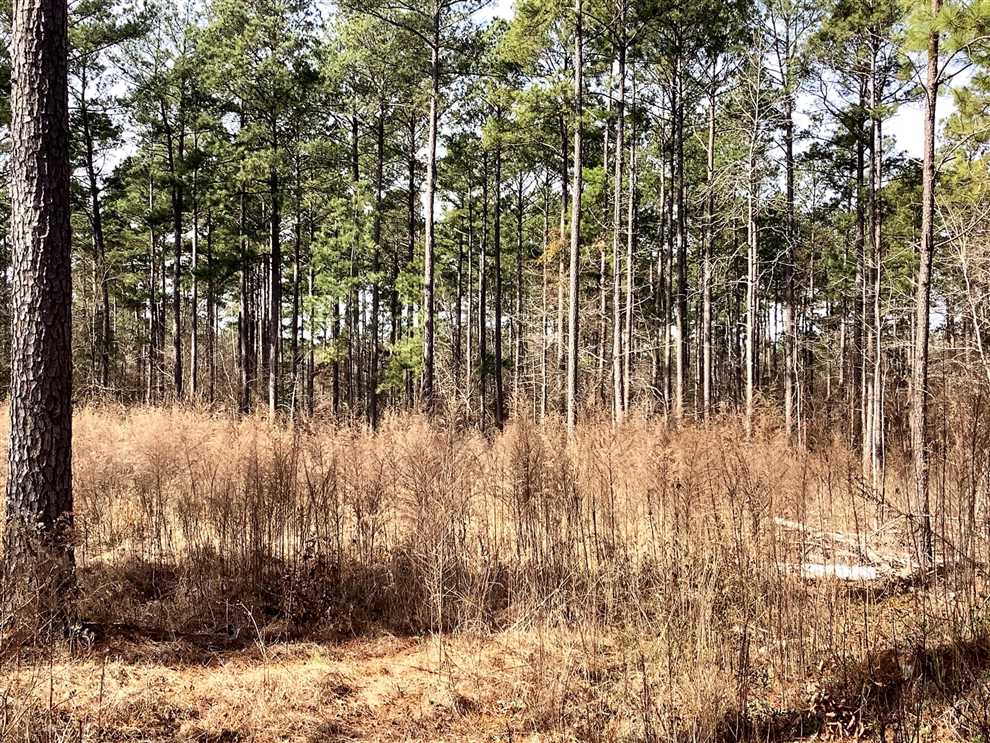 webster County, Louisiana property for sale