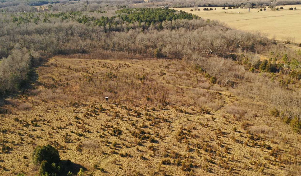 Houses and land for sale in Mississippi
