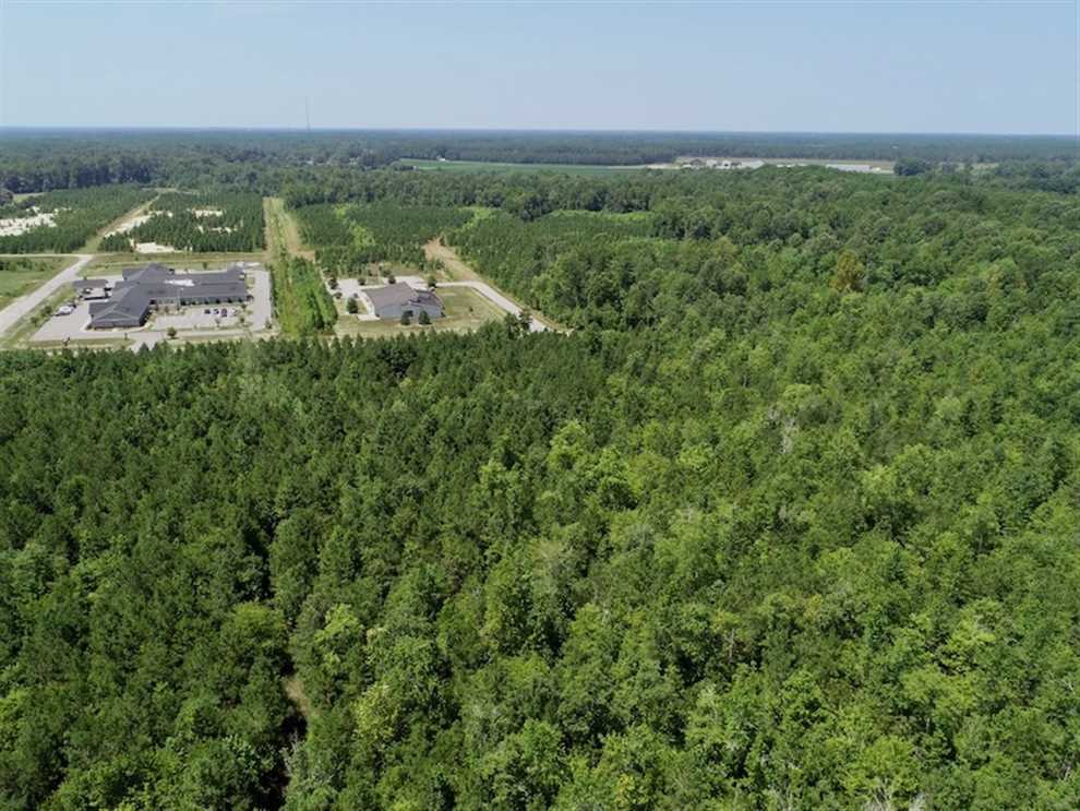 gates County, North Carolina property for sale