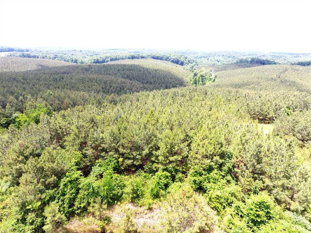 Land for sale at Knob Creek Rd