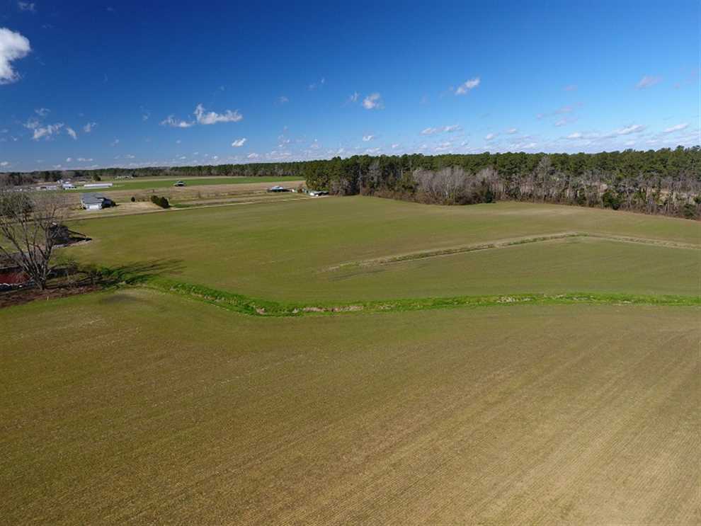 Farmland real estate available to buy
