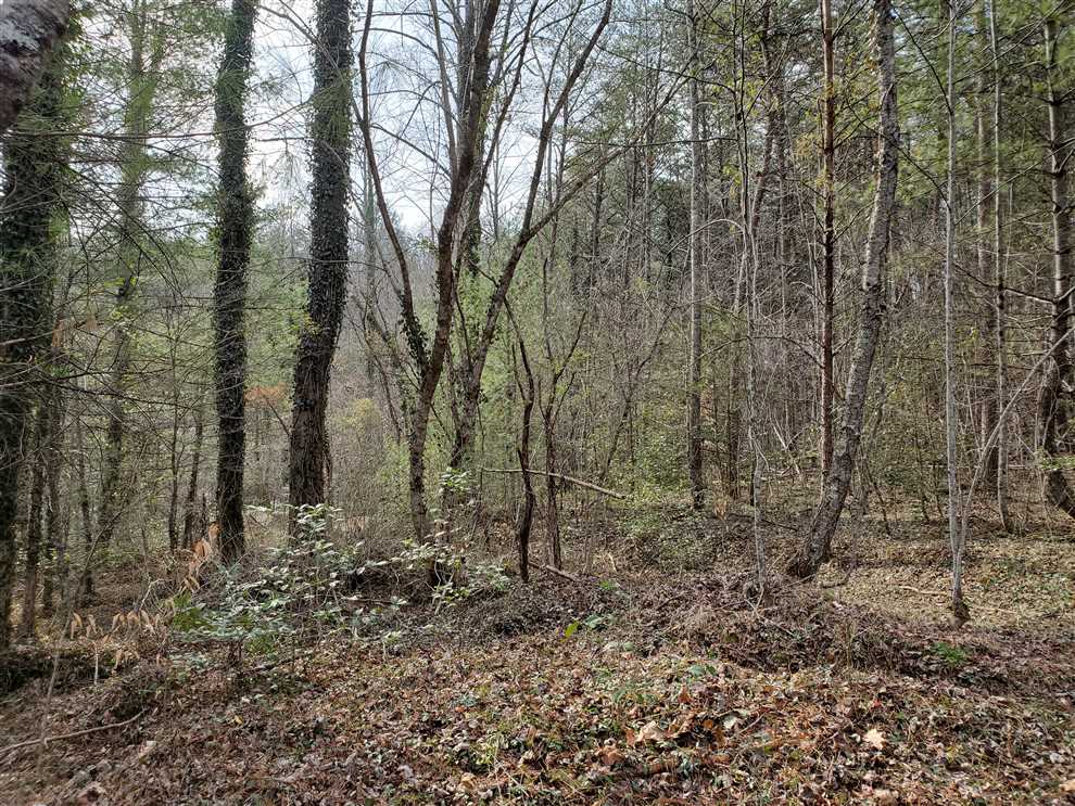 69.9 Acres of Residential land for sale in Boomer, wilkes County, North Carolina