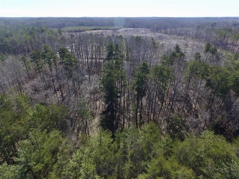 29 Acres of Recreational land for sale in Meherrin, lunenburg County, Virginia