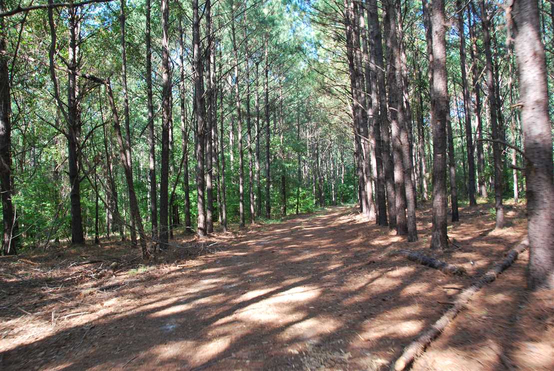 crenshaw County, Alabama property for sale