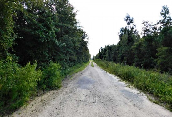 163 Acres of Land for Sale in clarendon County South Carolina