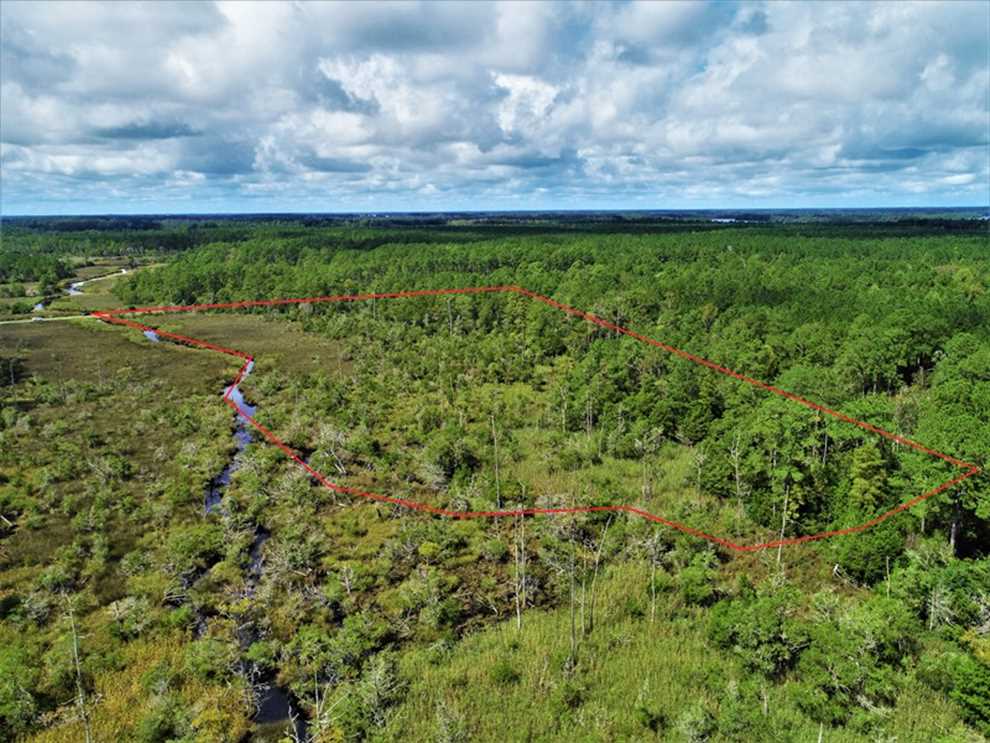 REDUCED! 17.82 Acres of Hunting Land for Sale in Pamlico County NC! Real estate listing