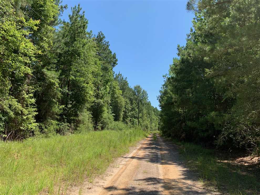property for sale on The Land Market