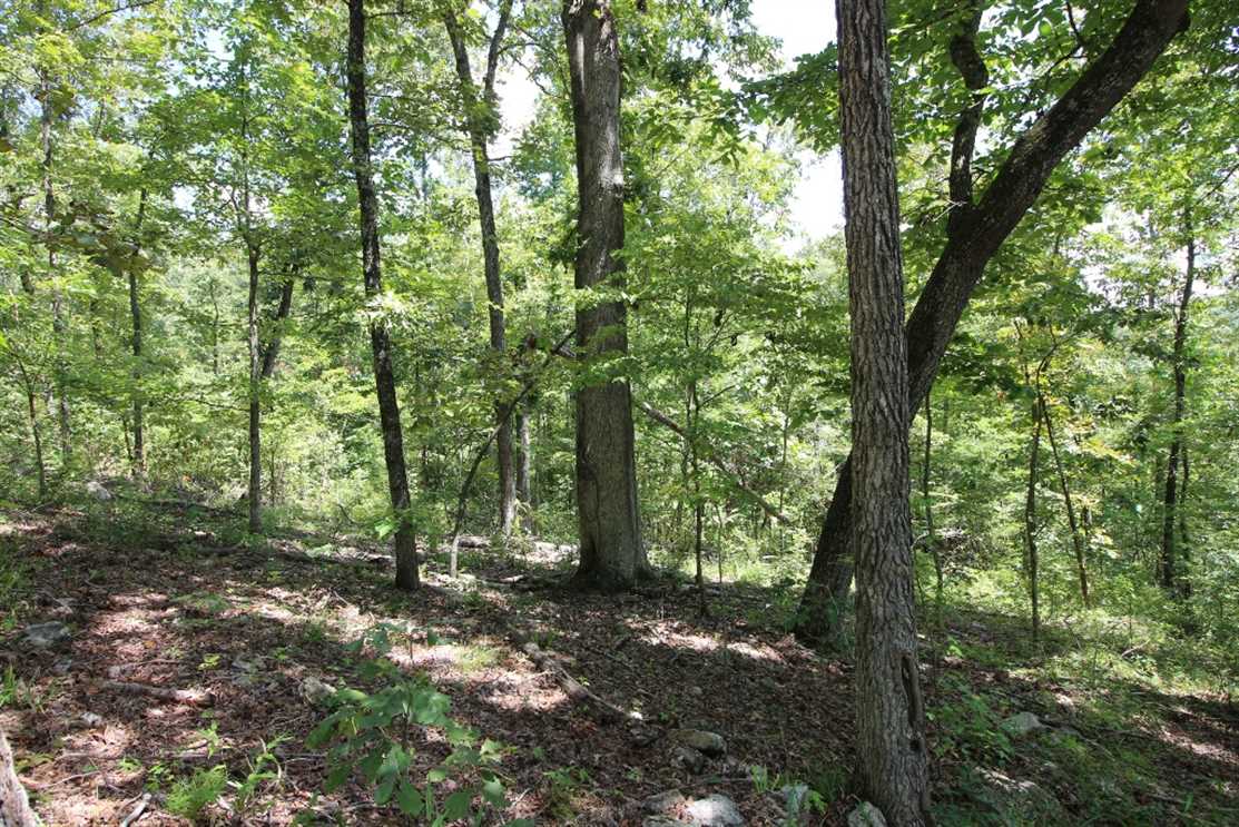 160 Acres of Land for sale in ripley County, Missouri