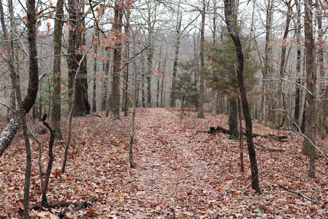 property for sale on The Land Market