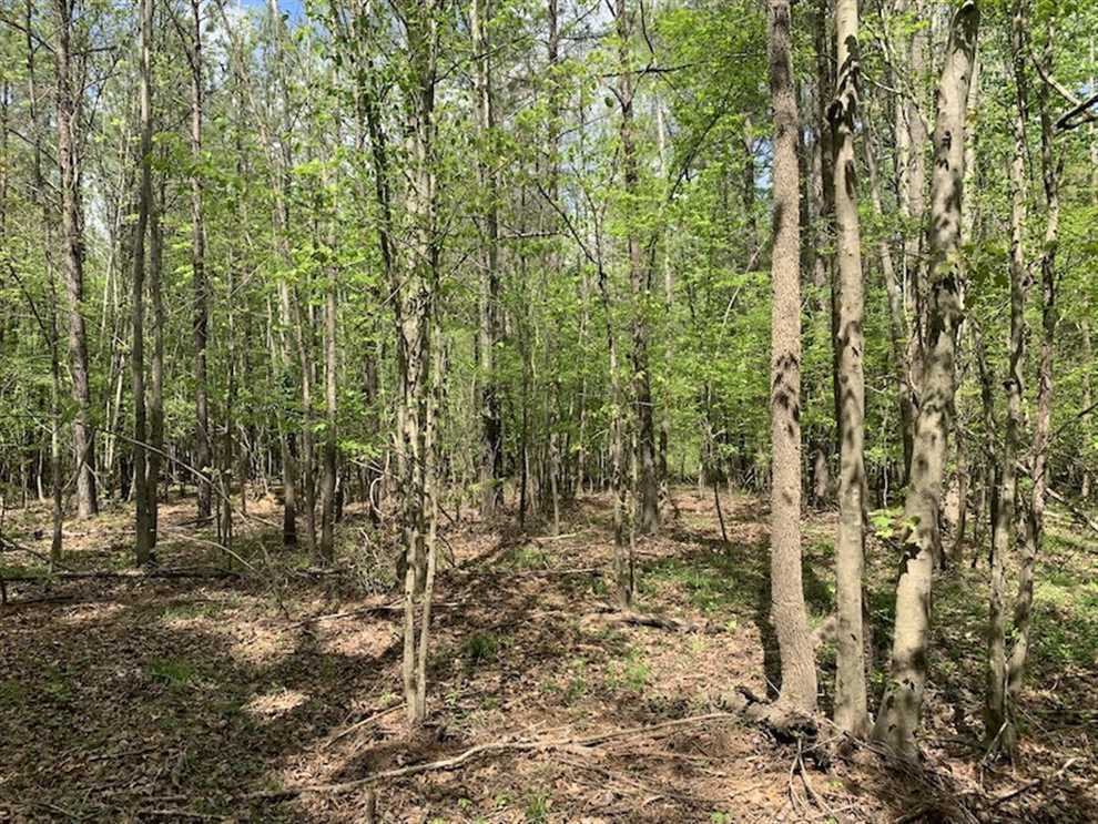 27.11 Acres of Land for sale in nash County, North Carolina