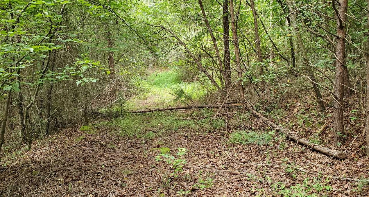 Residential and   property for sale on The Land Market