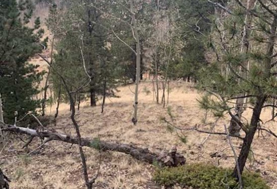1.15 Acres of Land for Sale in teller County Colorado