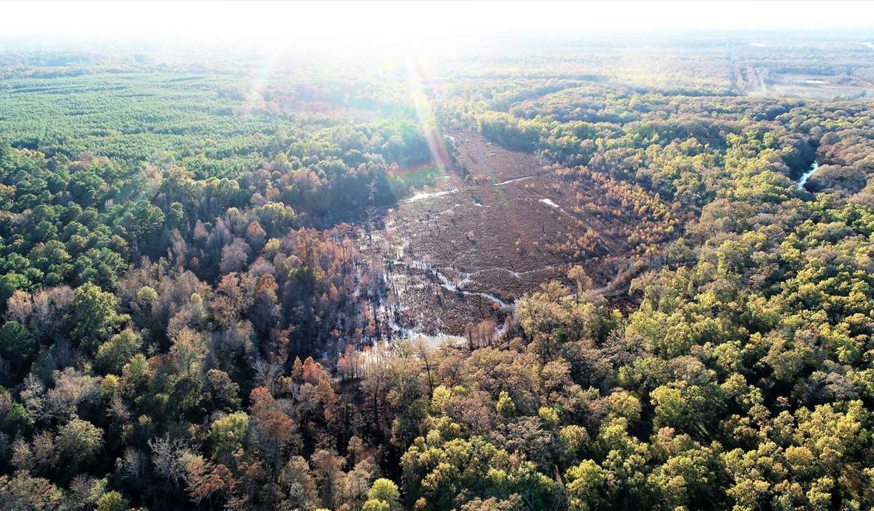 Haughton land available for purchase