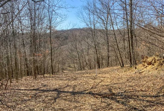 204 Acres of Land for Sale in westmoreland County Pennsylvania