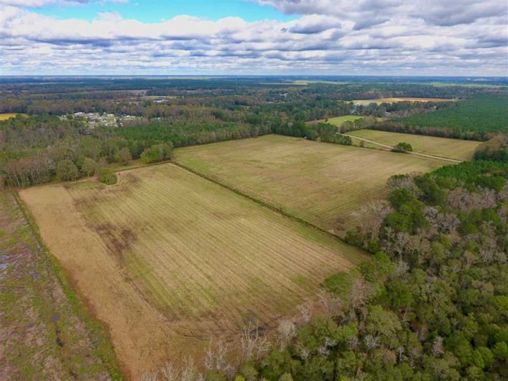 Houses and land for sale in North Carolina