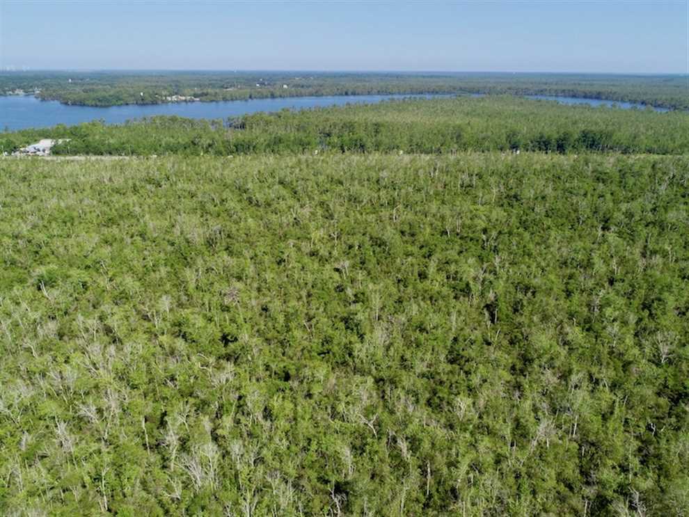 320 acres of Waterfront Property for Sale in Camden County, NC! Real estate listing