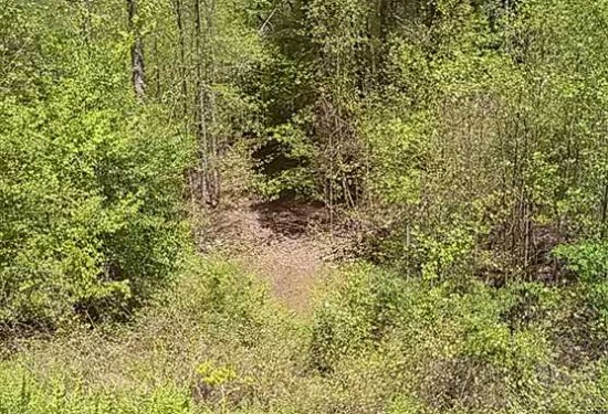 2.56 Acres of Land for Sale in cherokee County North Carolina