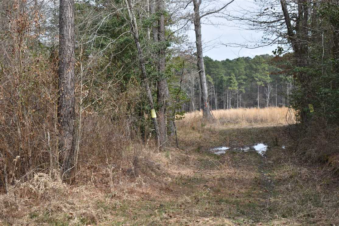 Houses and land for sale in Arkansas