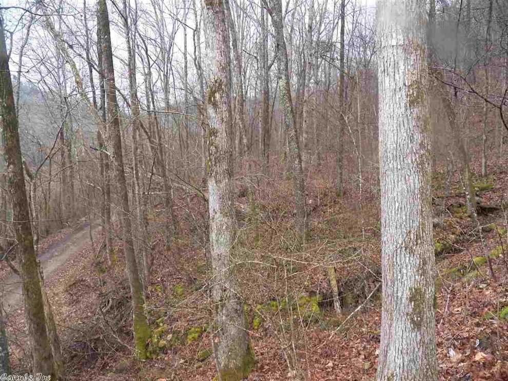 Land for sale at River Road
