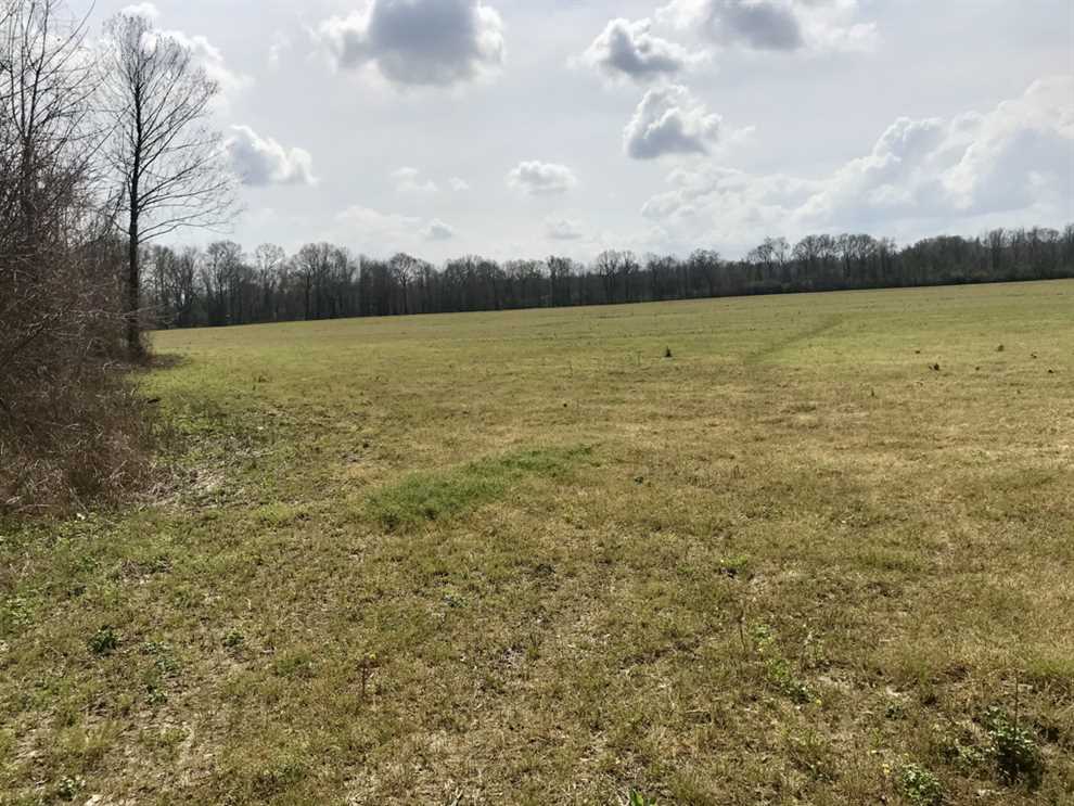 Houses and land for sale in Mississippi
