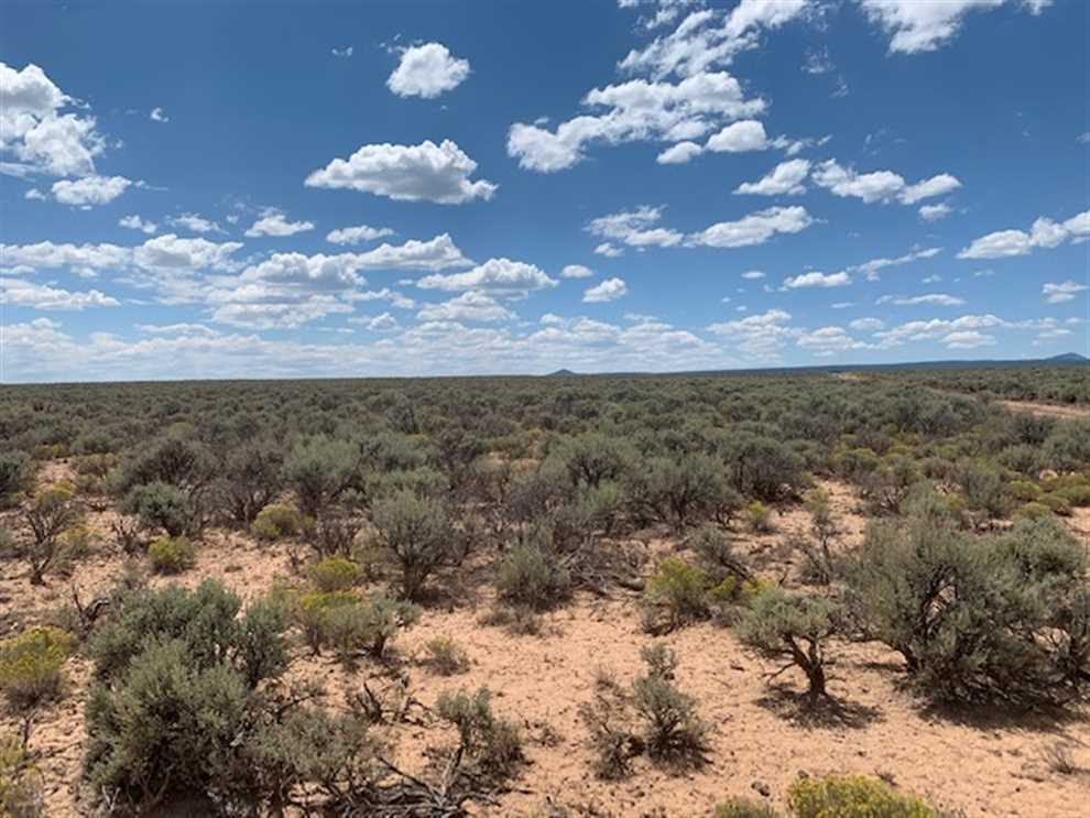 Property for sale at OFF OF NM ST HWY EAST 64