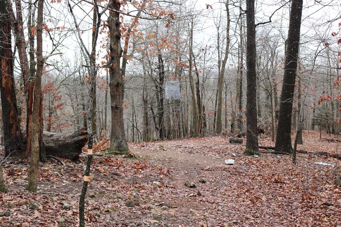 5 Acres of Land for sale in benton County, Arkansas